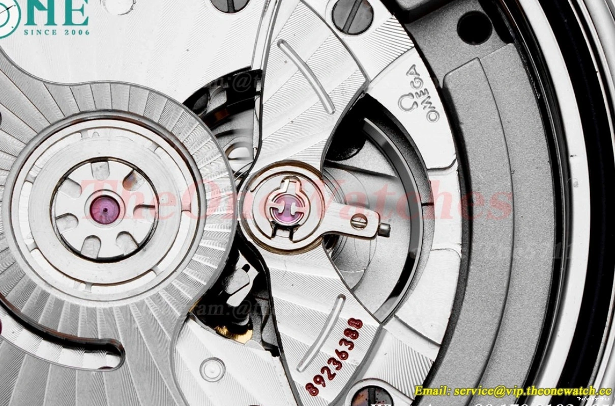 Seamaster Wht A8800 SS SS blue 300m 42mm JVSF 0112